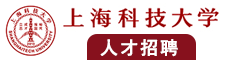 大鸡巴插少妇阴道射精视频